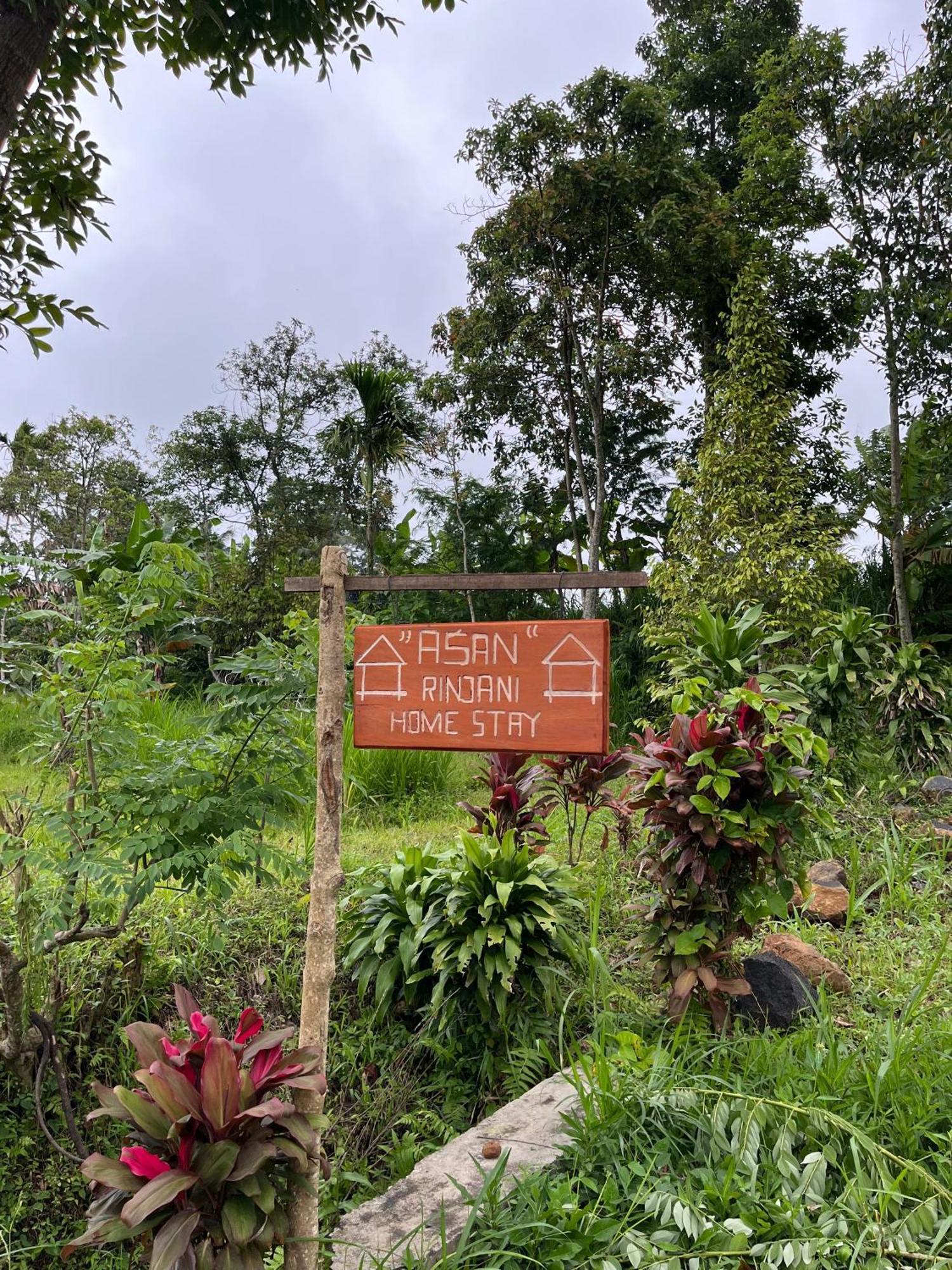 Asan Rinjani Homestay Tetebatu Buitenkant foto