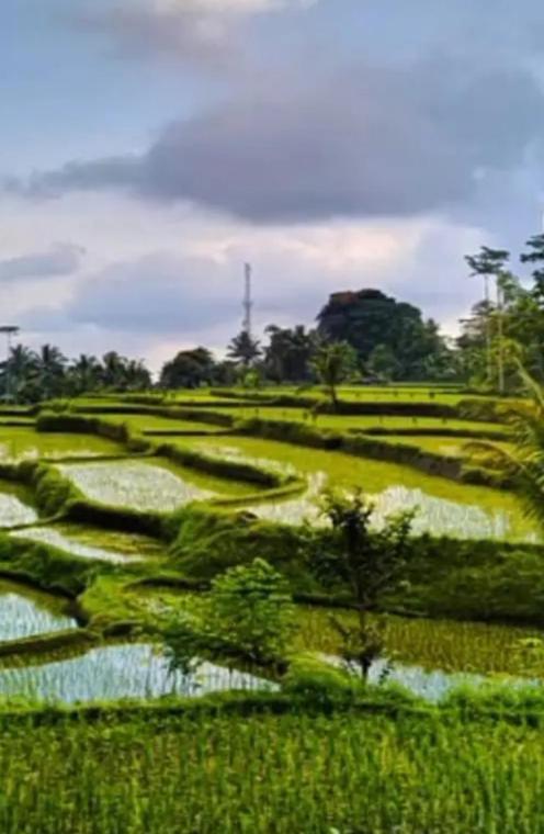 Asan Rinjani Homestay Tetebatu Buitenkant foto