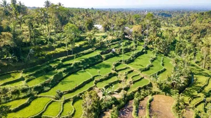 Asan Rinjani Homestay Tetebatu Buitenkant foto