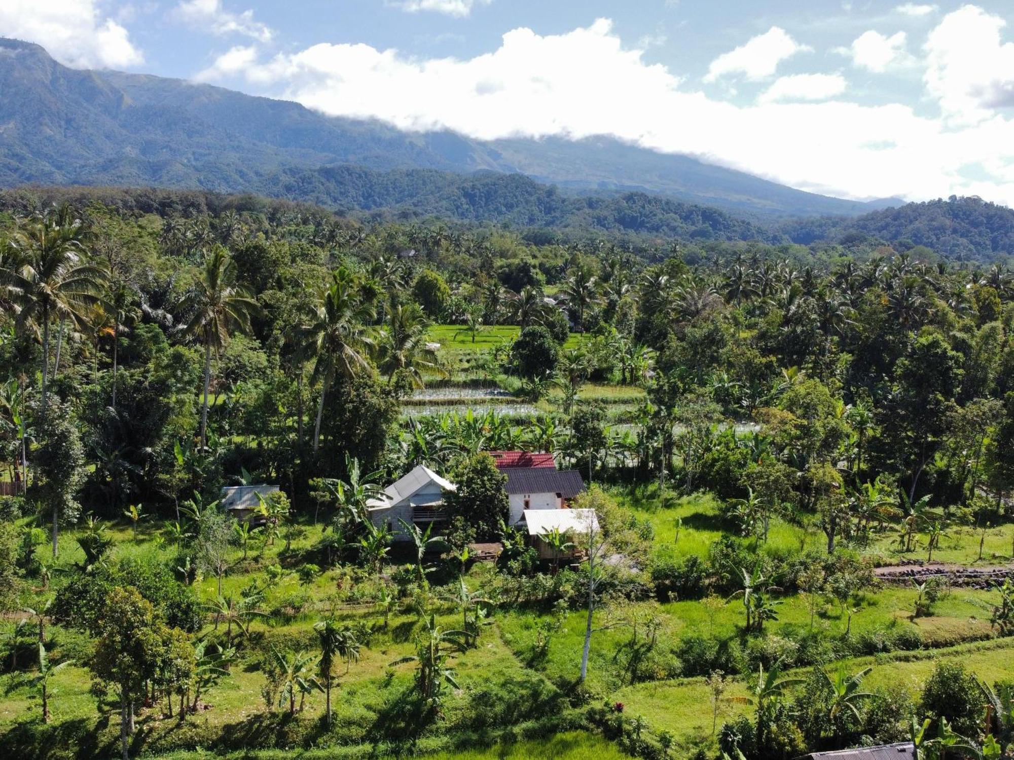 Asan Rinjani Homestay Tetebatu Kamer foto