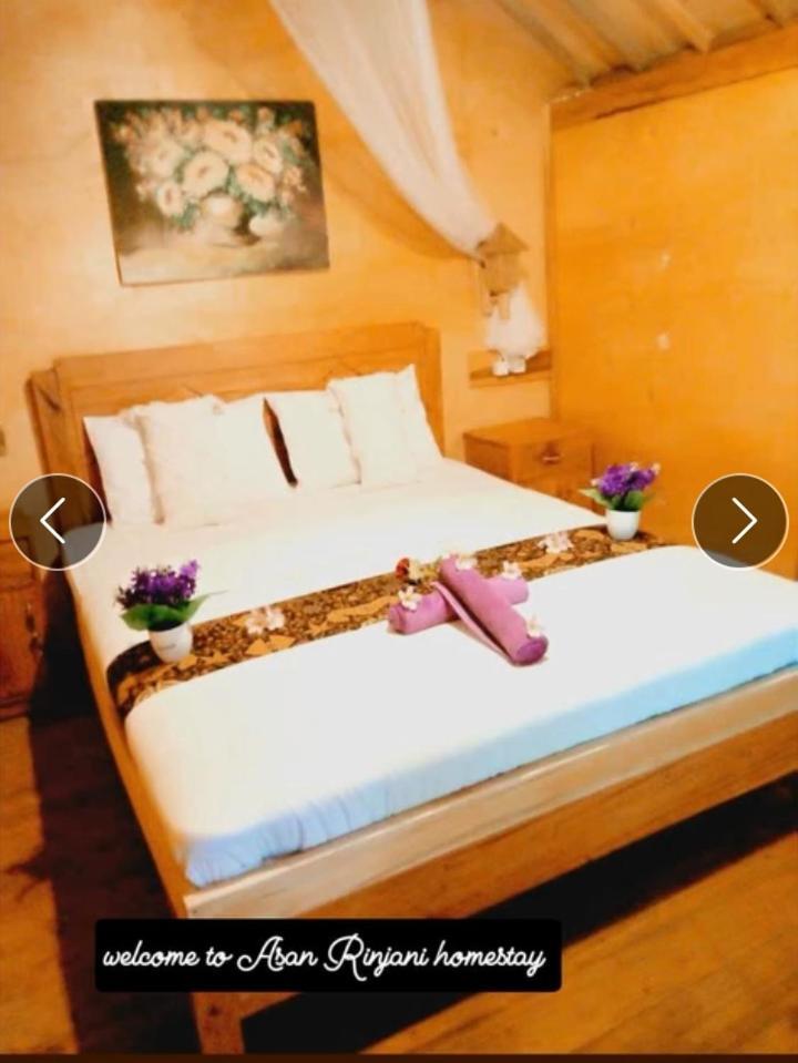 Asan Rinjani Homestay Tetebatu Buitenkant foto